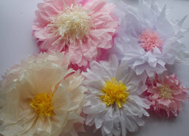 Image for DIY Giant Paper Flowers