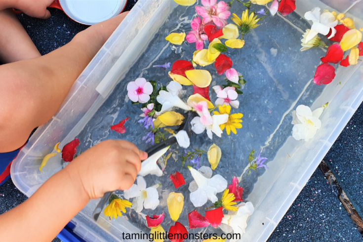 Image for Flower Soup &ndash; Easy Spring Sensory Bin for Kids