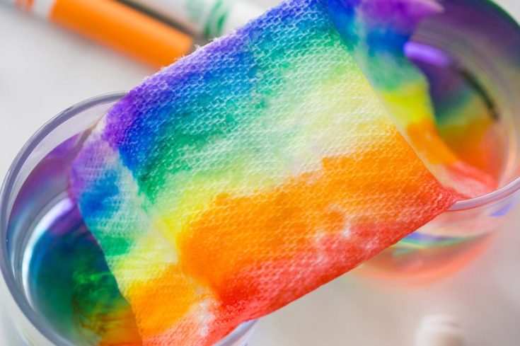Image for Grow a Rainbow Experiment