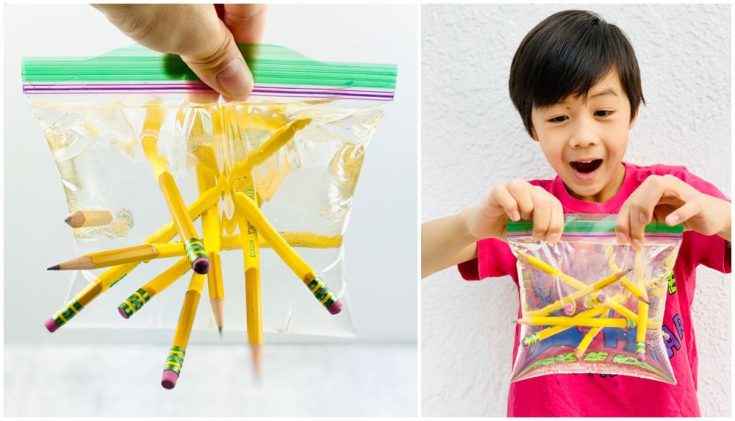 Image for PENCIL IN WATER BAG EXPERIMENT