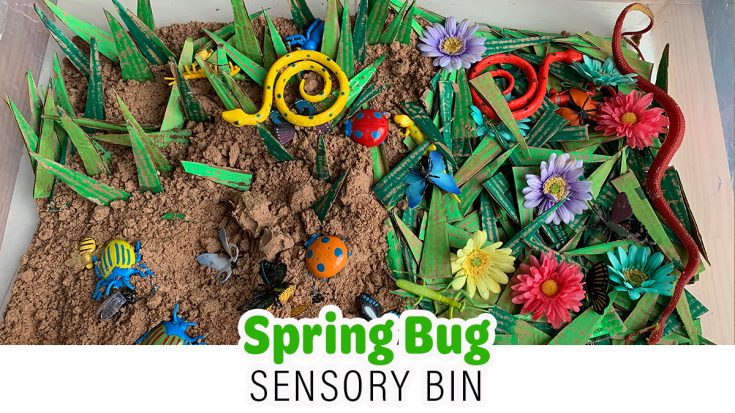 Image for Spring Bug Sensory Bin for Kids