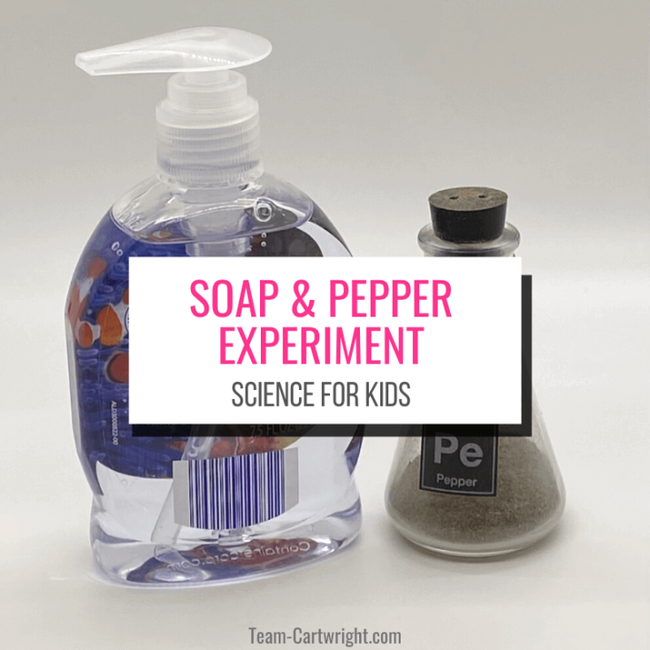 Image for Soap and Pepper Experiment- Easy Soap Science Experiment for Kids