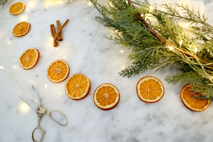 Image for Dried Orange Garland