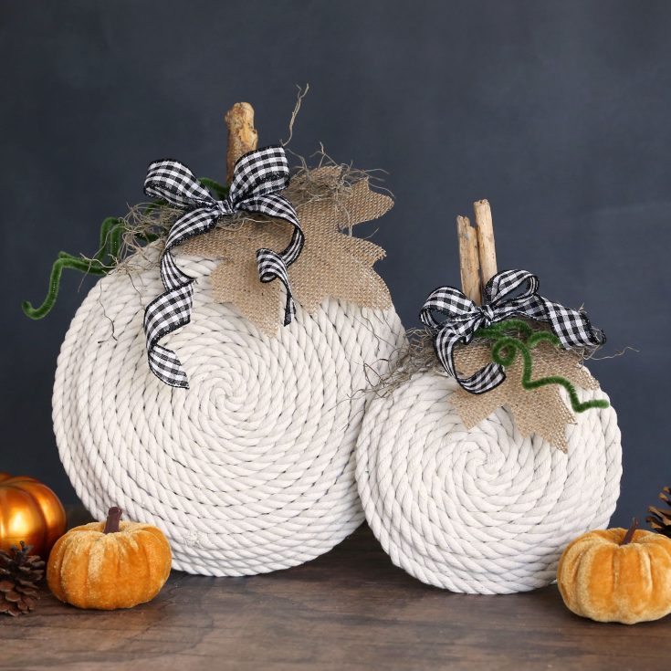 Image for DIY Dollar Tree Rope Pumpkins