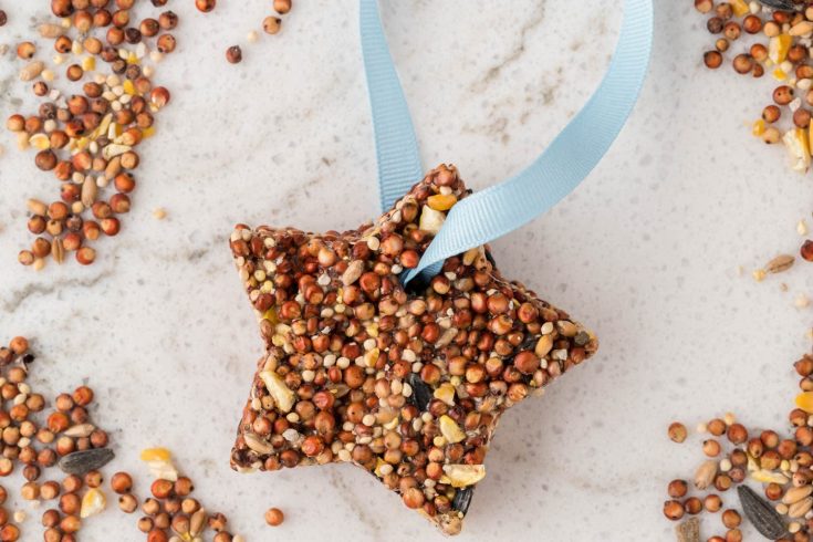 Image for Bird Feeder Craft