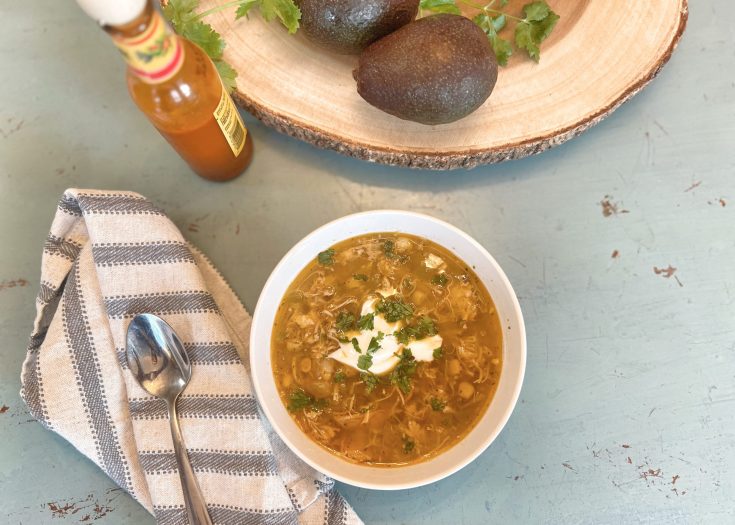 Salsa Verde Chicken Soup