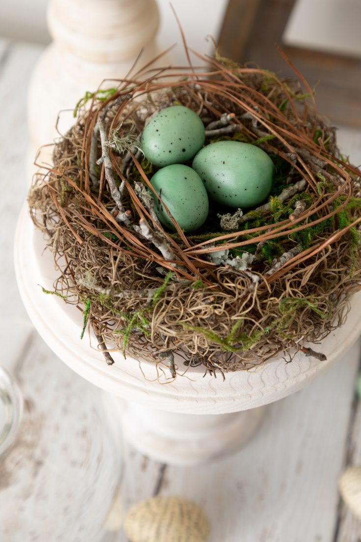 Image for How to Make a Bird&rsquo;s Nest
